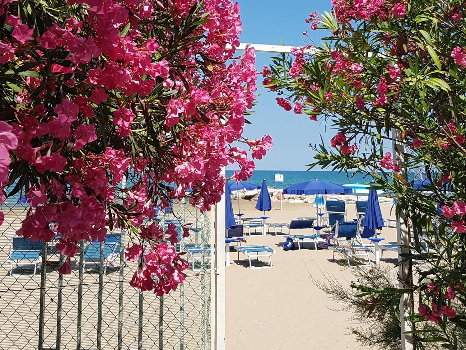 Villaggio Gabbiano Beach Vieste Esterno foto