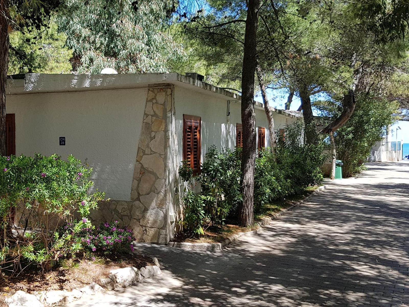 Villaggio Gabbiano Beach Vieste Esterno foto