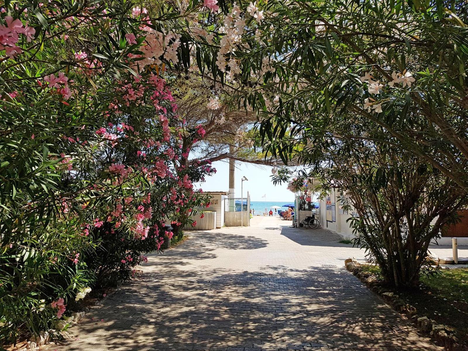 Villaggio Gabbiano Beach Vieste Esterno foto